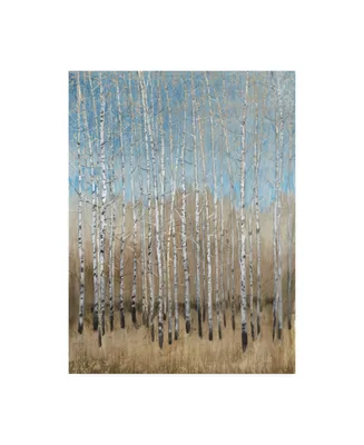 Tim Otoole Dusty Blue Birches I Canvas Art