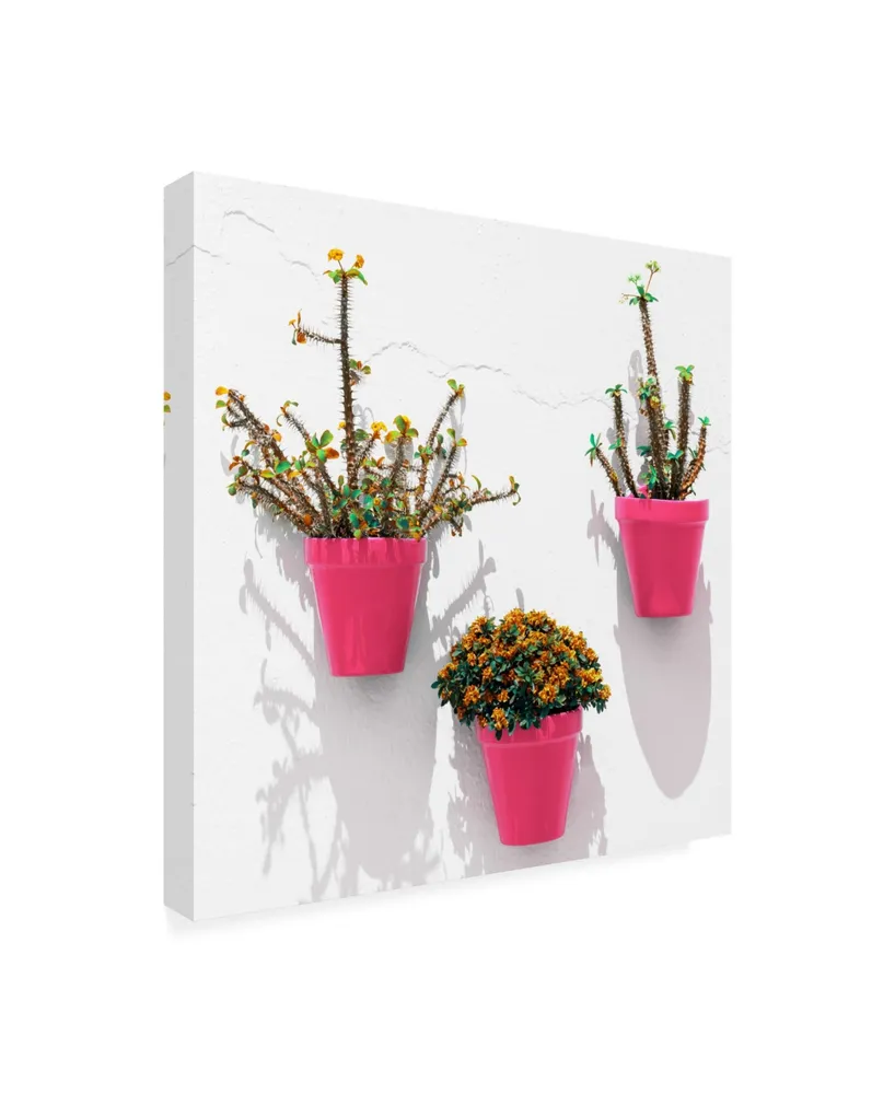 Philippe Hugonnard Made in Spain 3 Pink Pots Wall Canvas Art