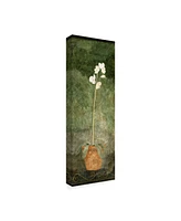 Pablo Esteban White Orchid in Pot on Green Canvas Art - 15.5" x 21"