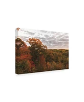Kurt Shaffer Photographs Colors of Autumn at Sunset Canvas Art - 27" x 33.5"