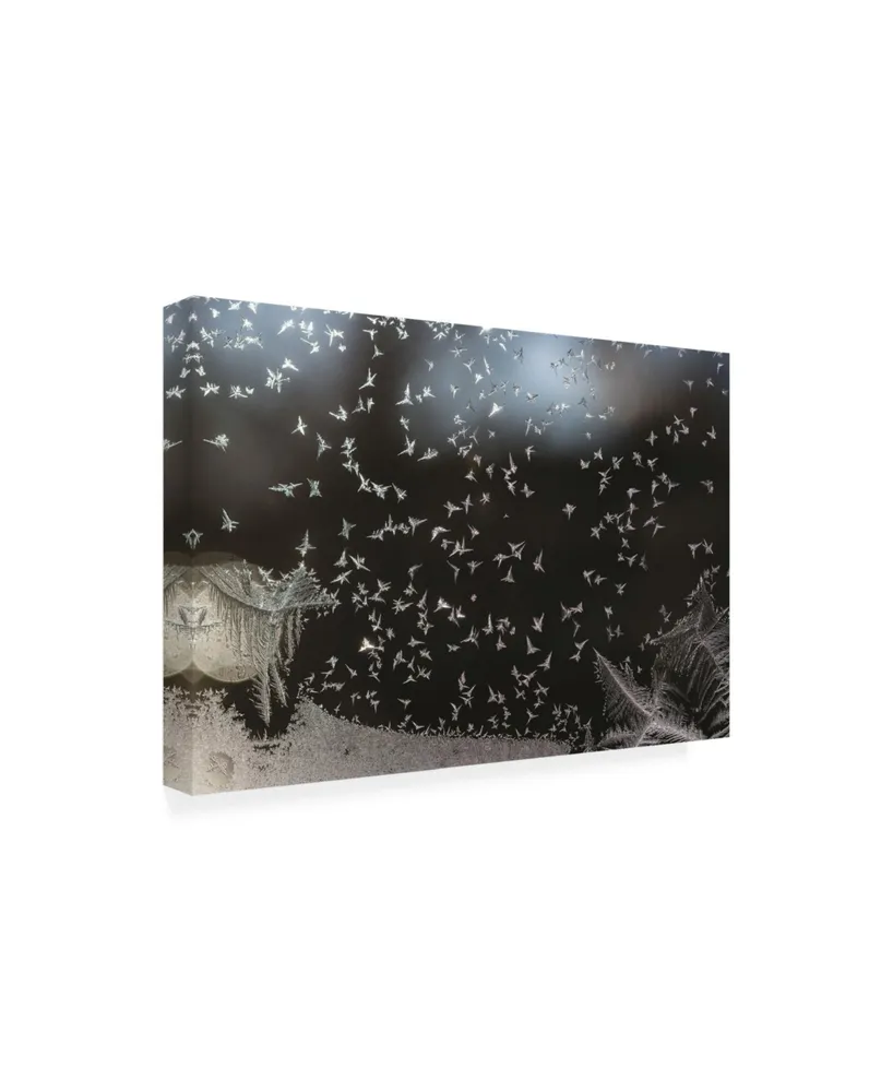 Kurt Shaffer Photographs Like a flock of birds ice crystals on my window Canvas Art