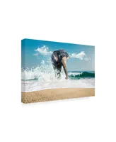 PhotoINC Studio Elephant on the Beach Canvas Art - 15.5" x 21"