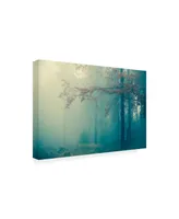 PhotoINC Studio Woods Canvas Art - 27" x 33.5"