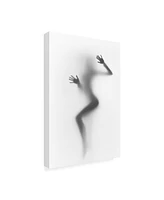 Incado Flattened Canvas Art - 27" x 33.5"