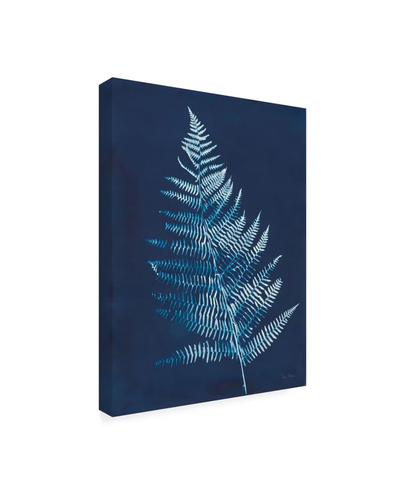 Piper Rhue Nature By the Lake - Ferns Vi Canvas Art