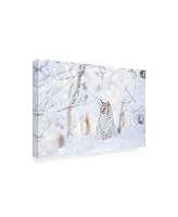 PhotoINC Studio Snow lynx Canvas Art - 36.5" x 48"