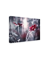 Fabien Bravin Seduction Games Canvas Art - 37" x 49"