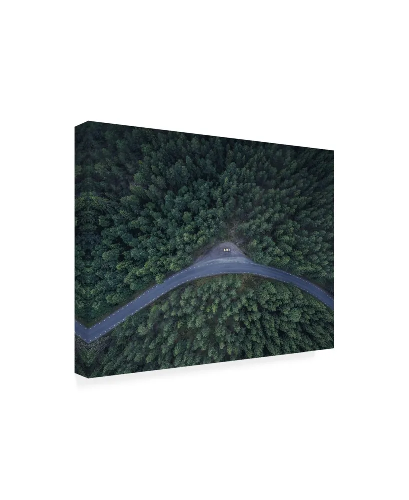 Christian Lindsten From Above Forest Canvas Art