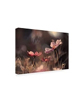 Fabien Bravin Flowers of Innocence Canvas Art - 20" x 25"