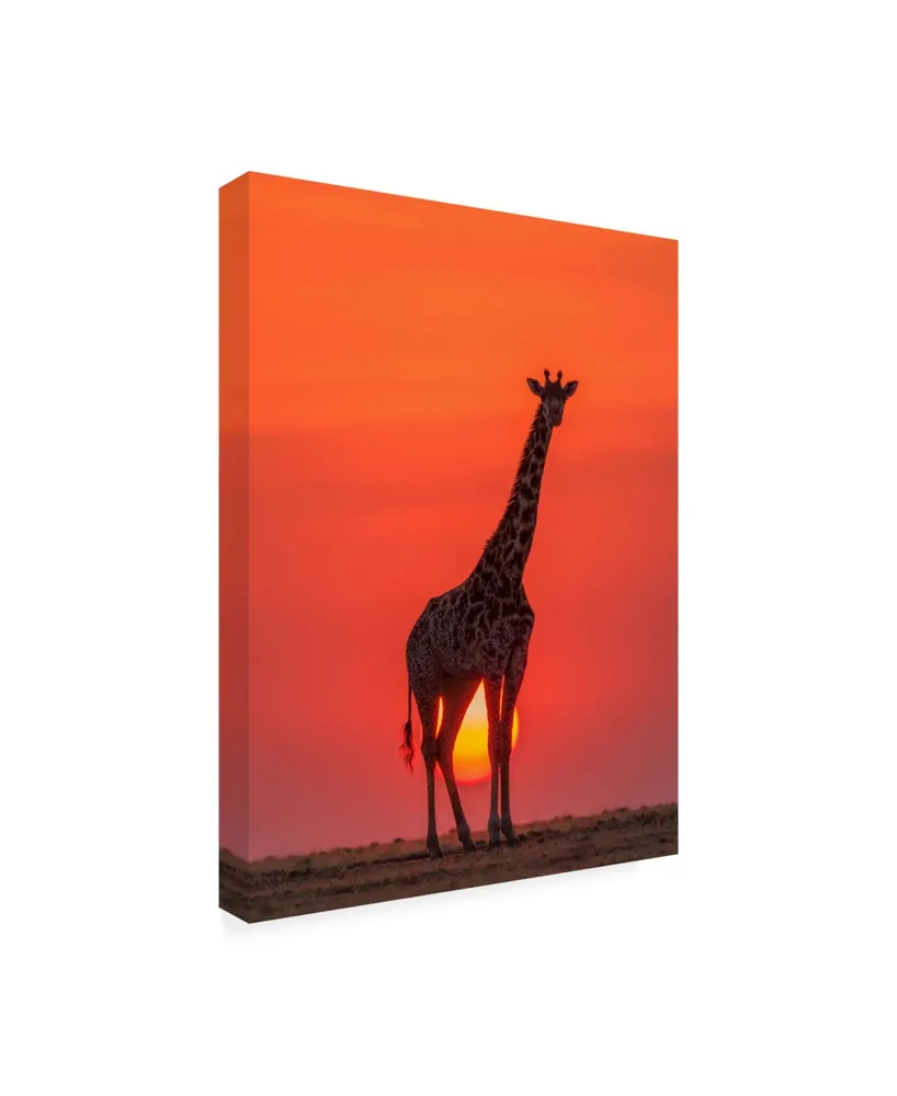 Henry Zhao Sunset Giraffe Canvas Art