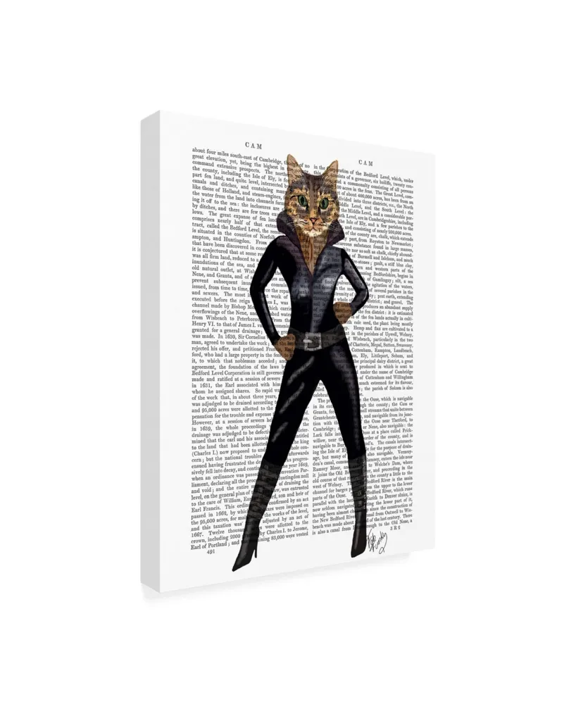 Fab Funky Cat Woman Leather Canvas Art