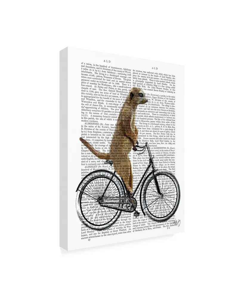 Fab Funky Meerkat on Bicycle Canvas Art