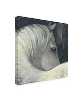 Albena Hristova Bijou Horse Canvas Art - 36.5" x 48"