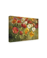 Danhui Nai Poppy Field Painting Canvas Art - 36.5" x 48"