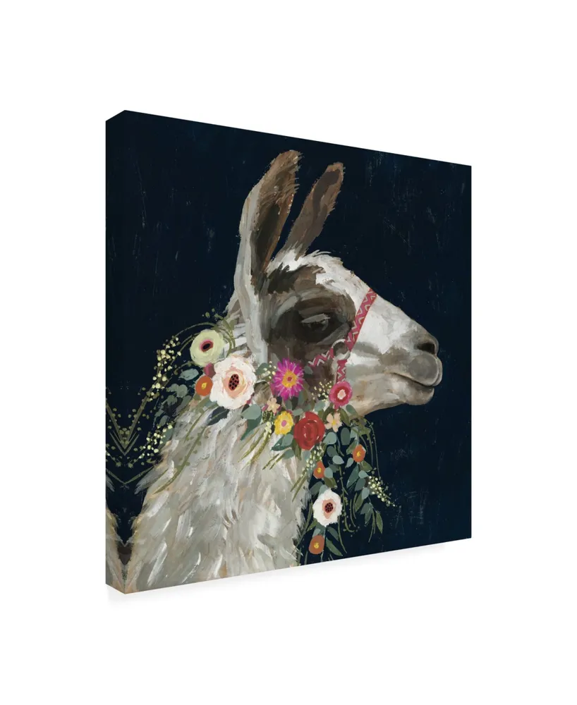 Victoria Borges Lovely Llama I Canvas Art