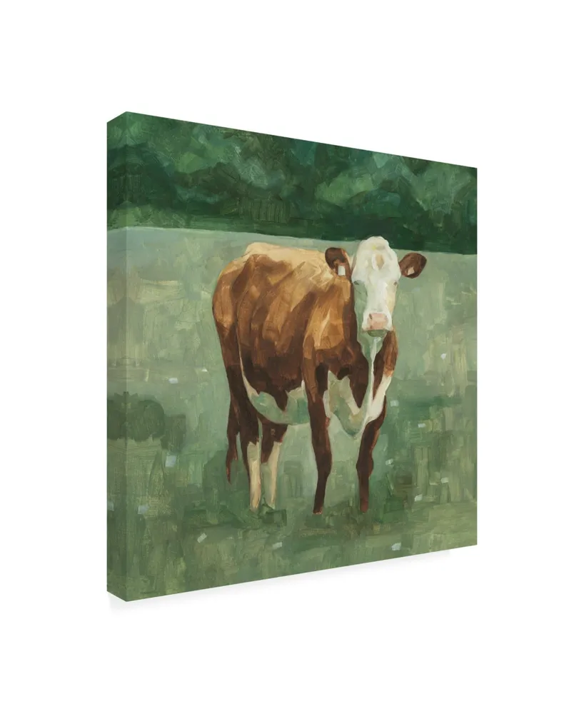 Emma Scarvey Hereford Cattle I Canvas Art