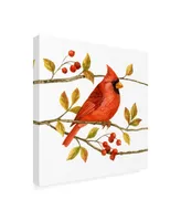 Jane Maday Birds and Berries Iii Canvas Art - 15.5" x 21"