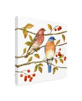 Jane Maday Birds and Berries Iv Canvas Art - 19.5" x 26"