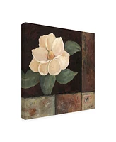 Judi Bagnato Magnolia Breeze Ii Canvas Art - 36.5" x 48"