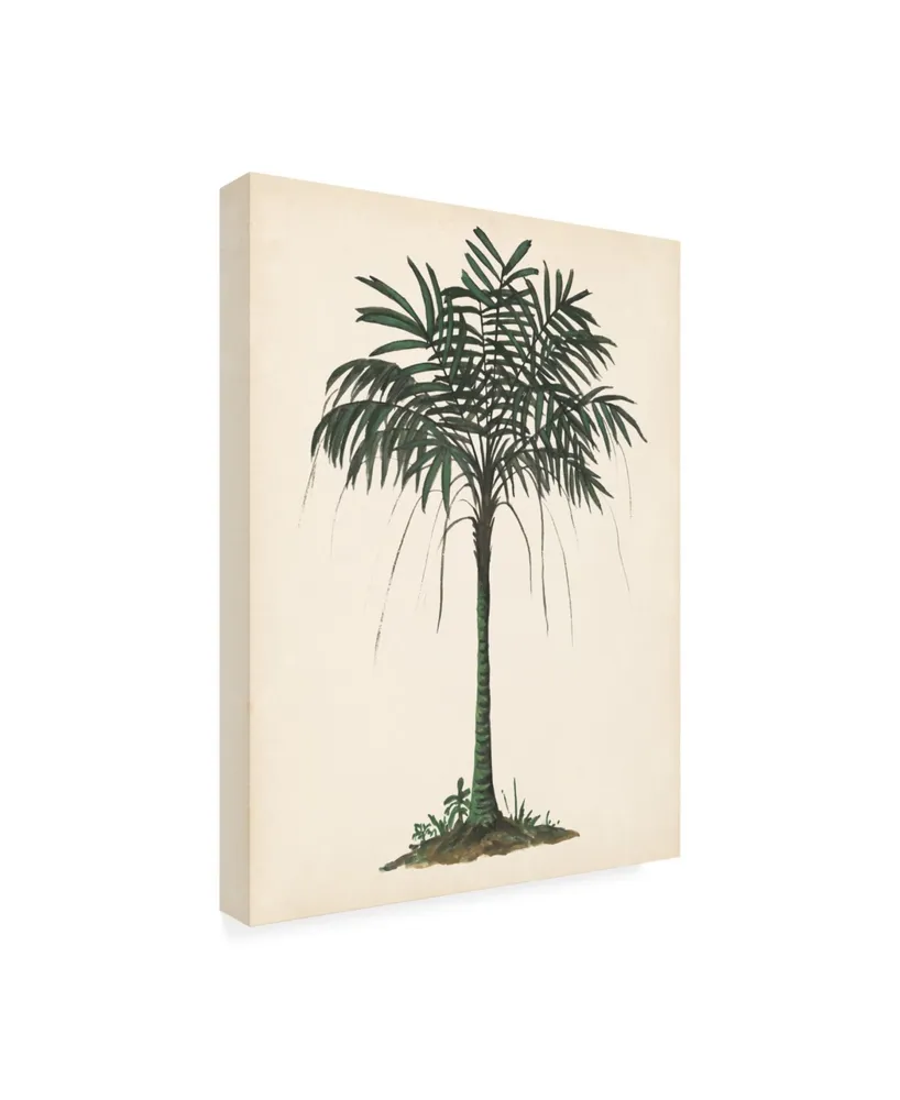 Melissa Wang Palm Tree Study Ii Canvas Art