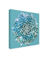 Brian Haslam Blue Chrysanthemum Canvas Art - 15" x 20"