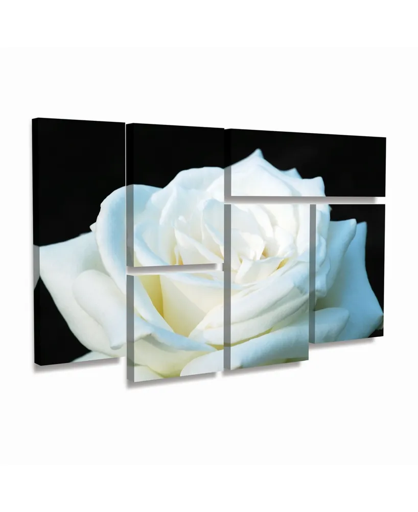 Kurt Shaffer White Rose Ii Multi Panel Art Set 6 Piece - 49" x 19"