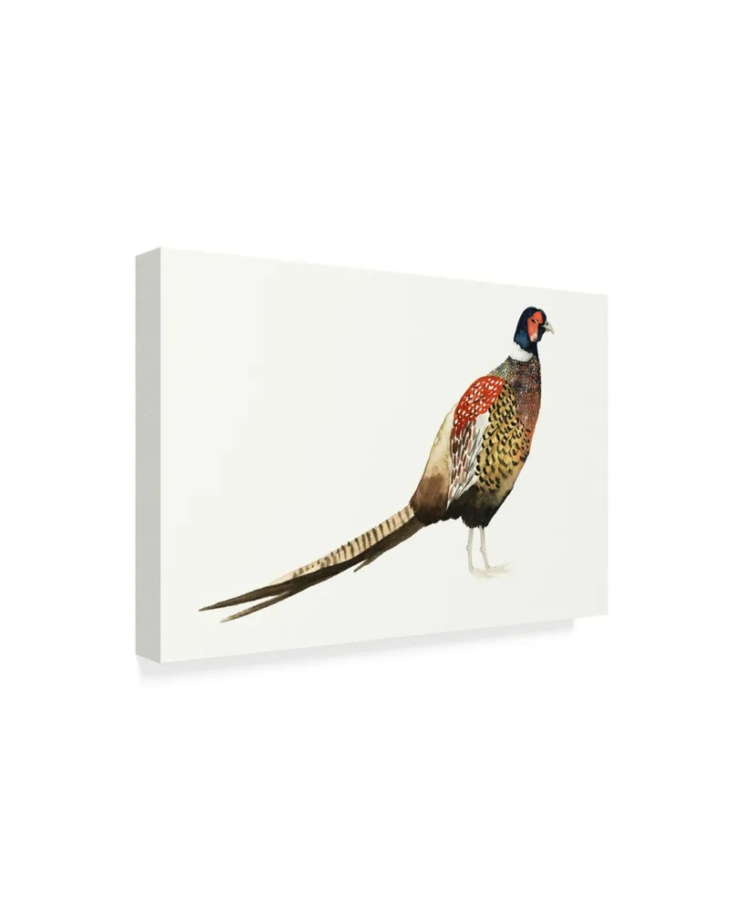 Grace Popp Watercolor Pheasant I Canvas Art