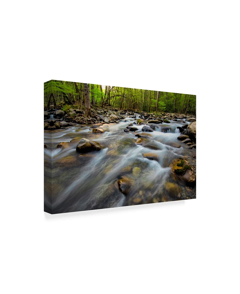 Danny Head Golden Flow Canvas Art - 37" x 49"