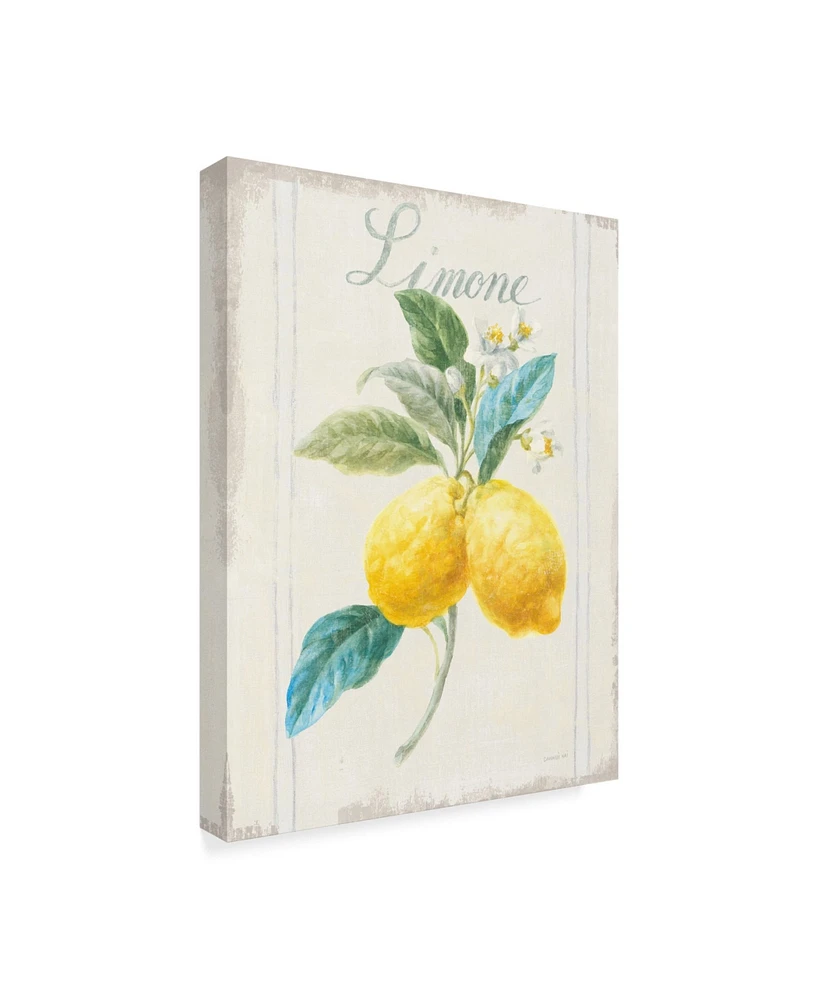 Danhui Nai Floursack Lemon Iii V2 Canvas Art - 20" x 25"