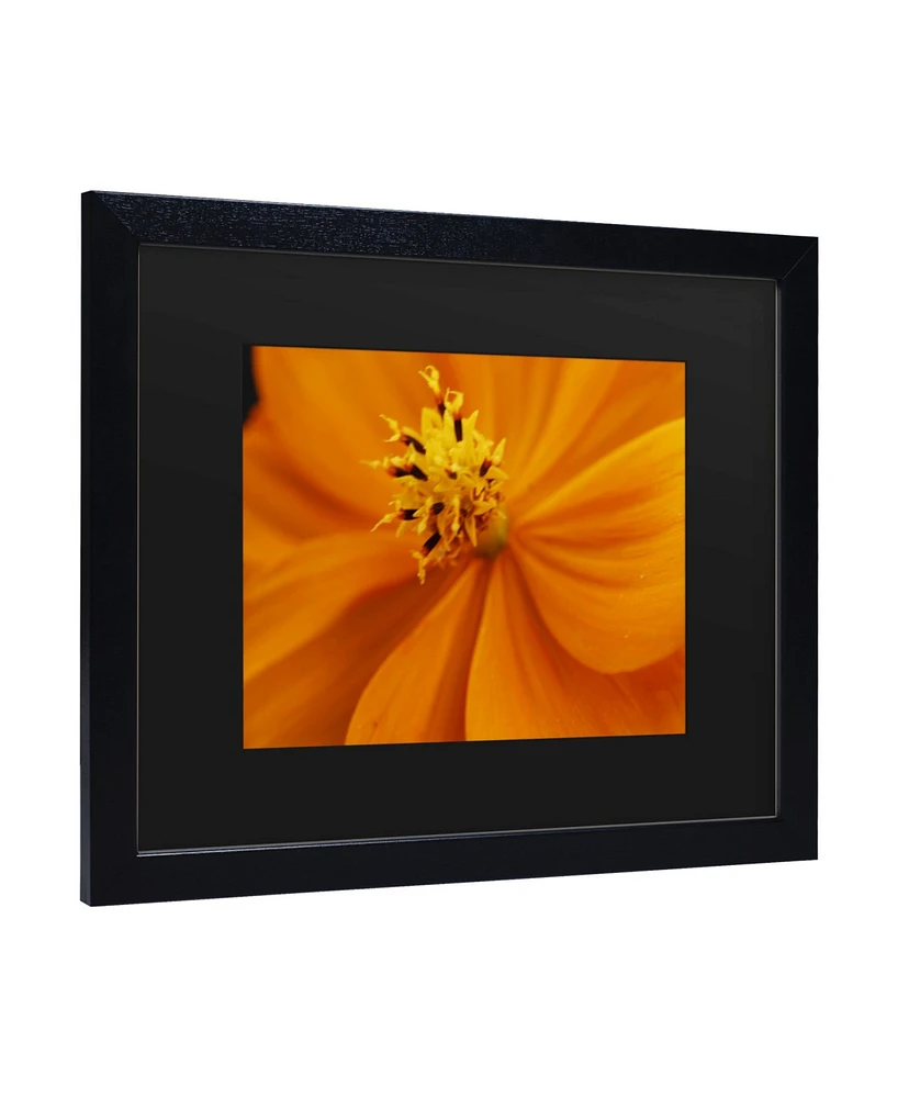 Kurt Shaffer Orange Flower Matted Framed Art - 15" x 20"