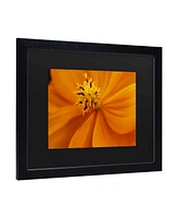 Kurt Shaffer Orange Flower Matted Framed Art - 15" x 20"