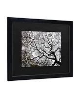 Kurt Shaffer Japanese Maple Spring Abstract Ii Matted Framed Art - 15" x 20"