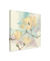 Chris Paschke Magnolias in White I Canvas Art - 20" x 25"