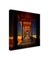 Philippe Sainte-Laudy San Diego Greetings Canvas Art