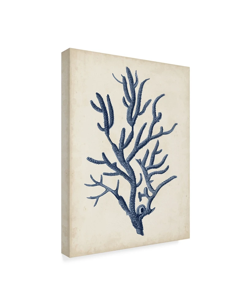 Vision Studio Indigo Coral Iv Canvas Art - 20" x 25"