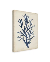 Vision Studio Indigo Coral Iv Canvas Art - 20" x 25"