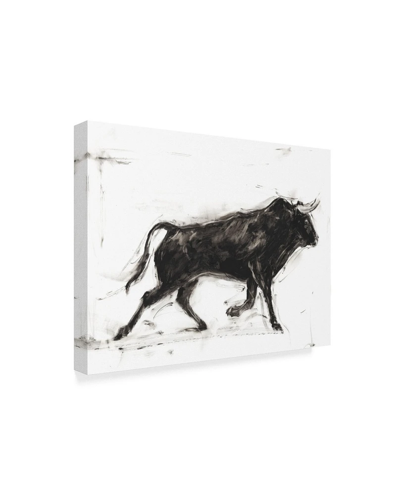 Ethan Harper Toro Ii Canvas Art - 37" x 49"