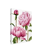 Grace Popp Winsome Peonies I Canvas Art - 20" x 25"