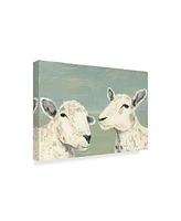 Jade Reynolds Bashful Sheep I Canvas Art - 20" x 25"