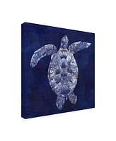 Grace Popp Sea Turtle Shadow Ii Canvas Art - 20" x 25"