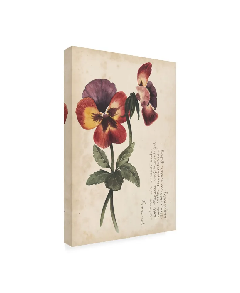 Grace Popp Garden Studies Ii Canvas Art