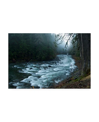 PhotoINC Studio River in the Forest Canvas Art - 36.5" x 48"