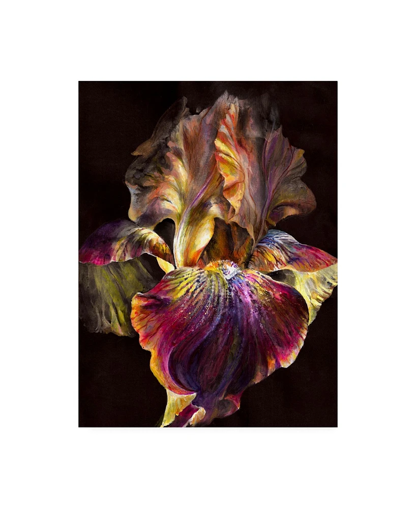 PhotoINC Studio Iris on Black Canvas Art - 19.5" x 26"