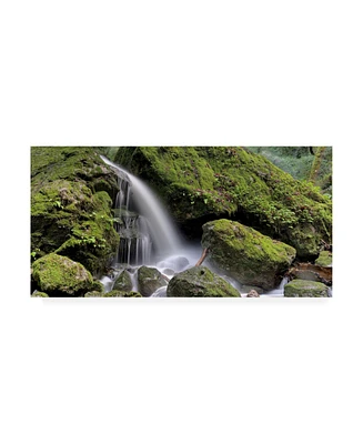 Alan Blaustein Canyon Falls No. 13 Canvas Art - 15.5" x 21"