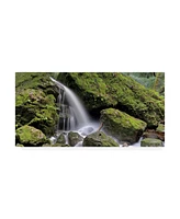 Alan Blaustein Canyon Falls No. 13 Canvas Art - 15.5" x 21"