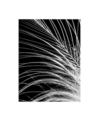 Incado White Feather Canvas Art - 36.5" x 48"