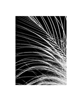 Incado White Feather Canvas Art - 36.5" x 48"