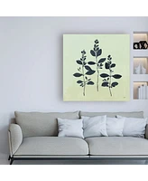 Julia Purinton Botanical Study Iv Canvas Art