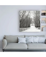 Nicholas Bel Country Lane in Winter Canvas Art - 36.5" x 48"