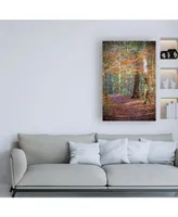 Brooke T. Ryan Rust Fall Forest Canvas Art - 15.5" x 21"